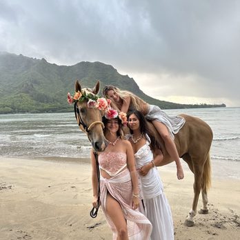 Legacy Horsemanship - Horseback Riding Near Me - Kaaawa, Hawaii Legacy Horsemanship - Horseback Riding Near Me - Kaaawa, Hawaii