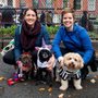 Photo of Oliver and Company Pet Services