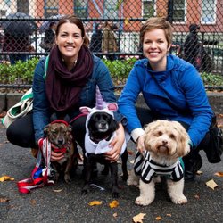 Oliver and Company Pet Services - Dog parade