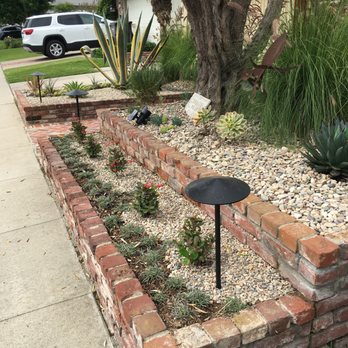 SoCal Sprinkler Solutions - Front view. The dymandia should grow in solid for a wave pattern. - Irrigation Near Me