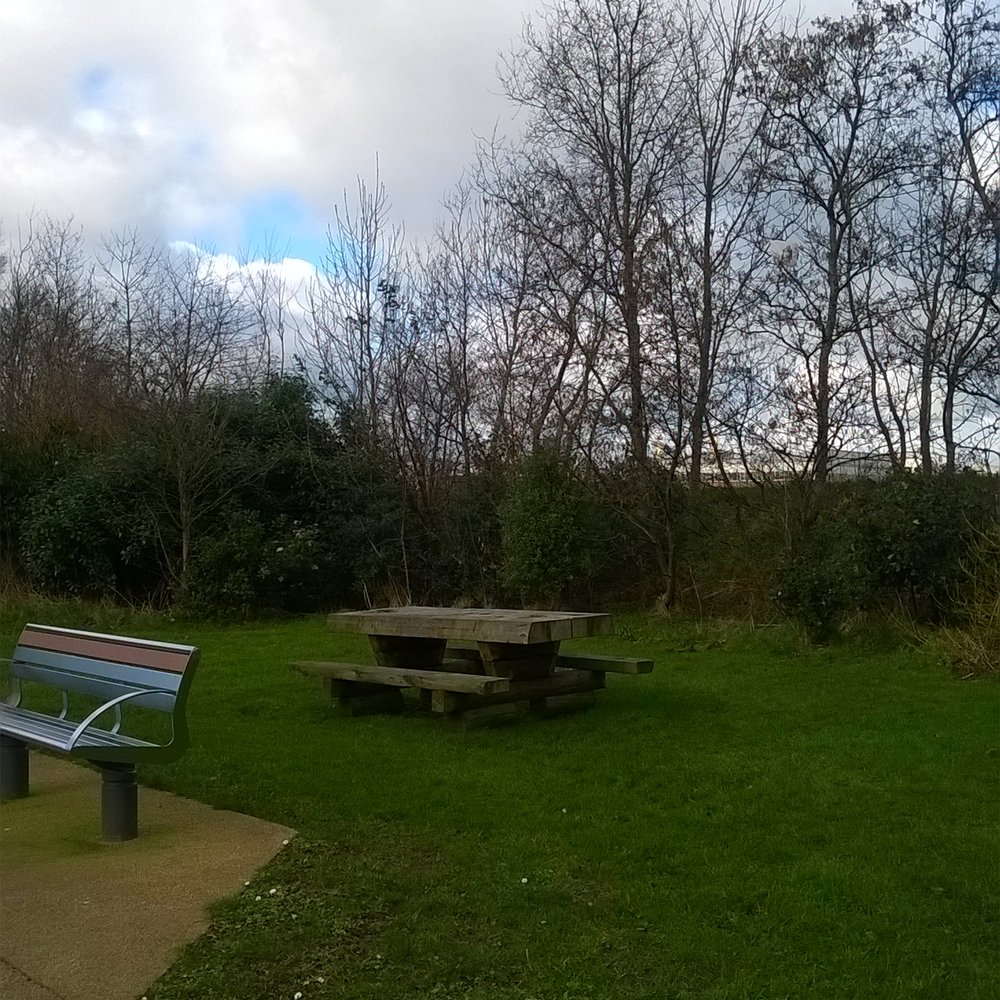Victoria Park - Picnic bench - Parks Near Me - Belfast, BFS