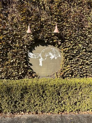 Fox in the Snow Cafe by null