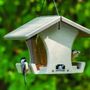 Photo of Wild Birds Unlimited