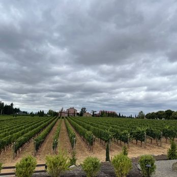Alloro Vineyard - Vineyard - Wineries Near Me - Sherwood, Oregon Alloro Vineyard - Vineyard - Wineries Near Me - Sherwood, Oregon