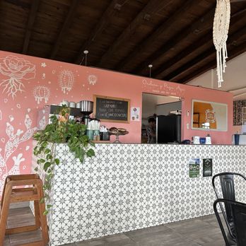 Chula - Vegan Near Me - San José del Cabo, BCS Chula - Vegan Near Me - San José del Cabo, BCS