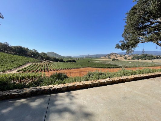 Gargiulo Vineyards by null