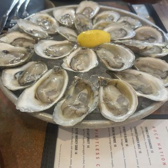 St. Roch Fine Oysters + Bar  - Oysters - New American Near Me - Raleigh, North Carolina