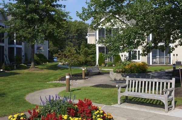 The Village at Unity & The Hamlet by null