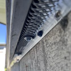 Perimeter Sealing For Mice