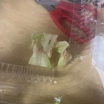 Carolina Cafe and Catering - Bagels Near Me - Columbia, South Carolina