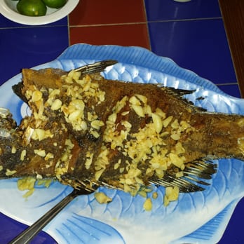 Mariscos Chihuahua - a whole fish on a blue plate - Seafood Near Me - Tucson, Arizona Mariscos Chihuahua - a whole fish on a blue plate - Seafood Near Me - Tucson, Arizona