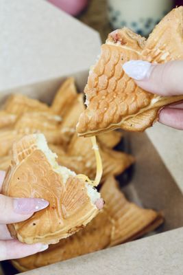 Lazi Cow - Frisco by null