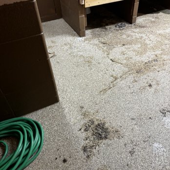 88 Drive In Theatre - Disgusting and unhygienic woman's bathroom - Drive-In Theater Near Me - Commerce City, Colorado 88 Drive In Theatre - Disgusting and unhygienic woman's bathroom - Drive-In Theater Near Me - Commerce City, Colorado