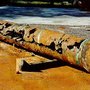 Photo of Mora Rooter