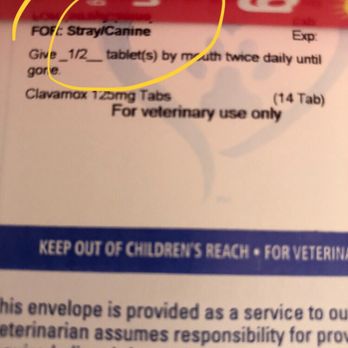 Long Veterinary Clinic Llc - Veterinarians Near Me - Kearney, Missouri Long Veterinary Clinic Llc - Veterinarians Near Me - Kearney, Missouri