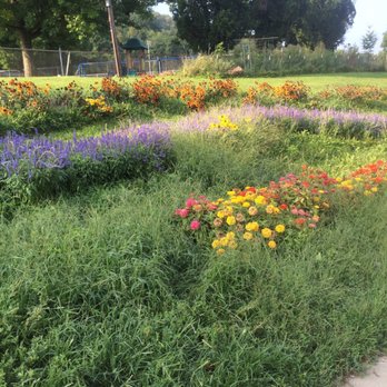 West Penn Park - Flower gardens ! - Parks Near Me - Pittsburgh, Pennsylvania West Penn Park - Flower gardens ! - Parks Near Me - Pittsburgh, Pennsylvania