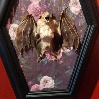 Ghoulish Delights - The bat you're been waiting for! - Antiques Near Me - Granada Hills, California Ghoulish Delights - The bat you're been waiting for! - Antiques Near Me - Granada Hills, California