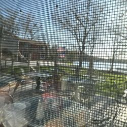 Lily Lake Resort - Our view!!
