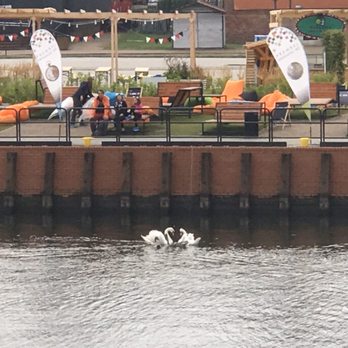 Hilton Gdańsk - Swan Couple from our room - Hotels Near Me - Gdansk, PM