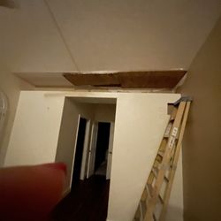 Citrus Contracting - The damage