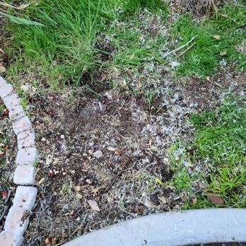 Only ME Tree & Land Service - End result is great minus a few wood chips. - Fences & Gates Near Me Only ME Tree & Land Service - End result is great minus a few wood chips. - Fences & Gates Near Me