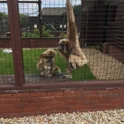 Owl & Monkey Haven