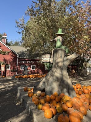 Vala's Pumpkin Patch & Apple Orchard by null