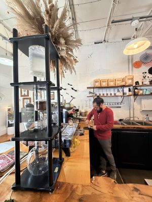 Dandy Lion Coffee Co. by null