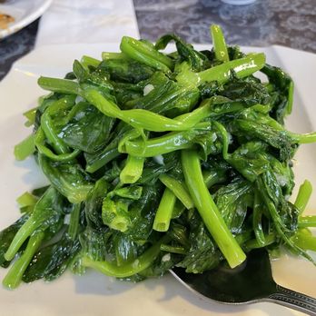 Yi Pin - Szechuan Near Me - Lancaster, Pennsylvania