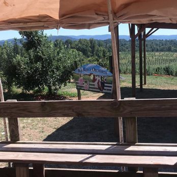 BJ Reece Orchards - Fruits & Veggies Near Me - Ellijay, Georgia