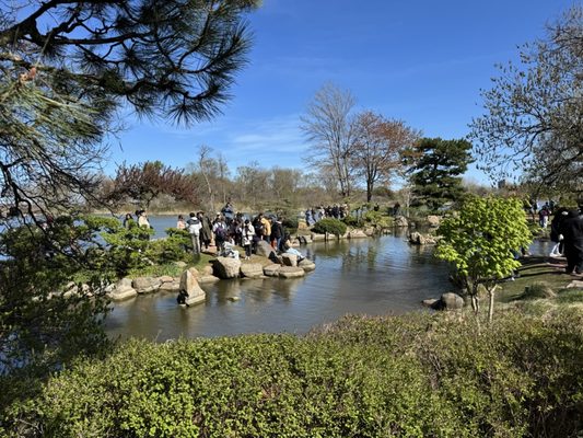 Jackson Park by null