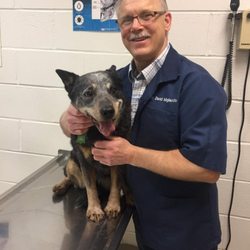 Chester Animal Hospital