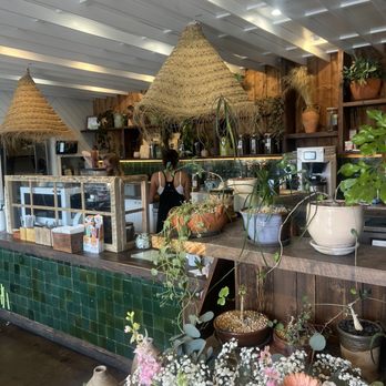 The Barista Botanist - Cafes Near Me - San Diego, California