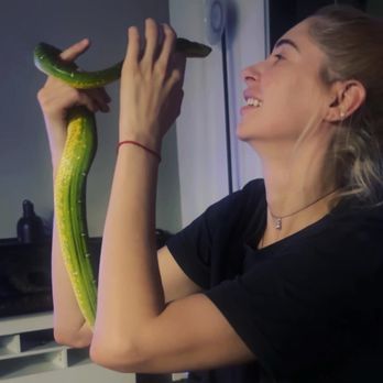 Underground Reptiles - Snake - Reptile Shops Near Me - Deerfield Beach, Florida
