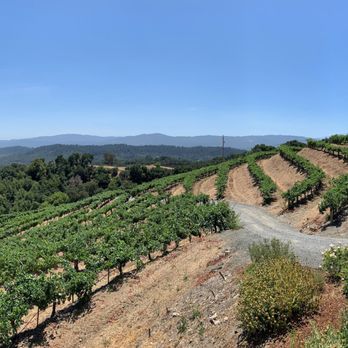 Napa Your Way - Wine Tours Near Me Napa Your Way - Wine Tours Near Me