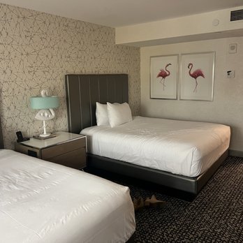 Flamingo Las Vegas - Hotels Near Me - Las Vegas, Nevada Flamingo Las Vegas - Hotels Near Me - Las Vegas, Nevada