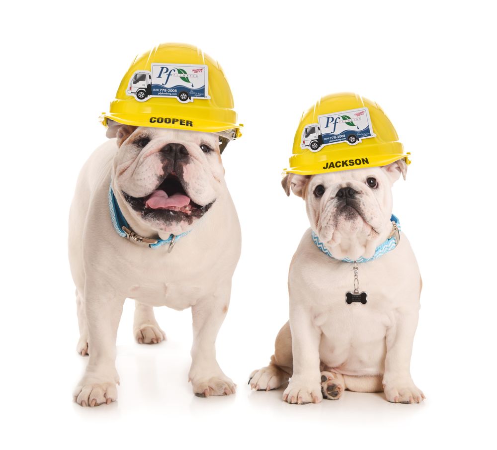 Slide of PF Plumbing