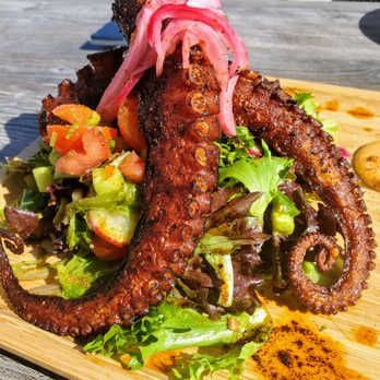 Sol Agave - Fantastic Octopus - Mexican Near Me - American Fork, Utah