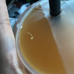 Passion Fruit Tea (i dont know what is that flowing in my drink)