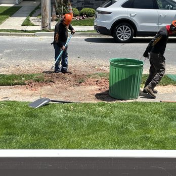 Hell Fighters Tree Removal - Tree Services Near Me - Egg Harbor Township, New Jersey Hell Fighters Tree Removal - Tree Services Near Me - Egg Harbor Township, New Jersey