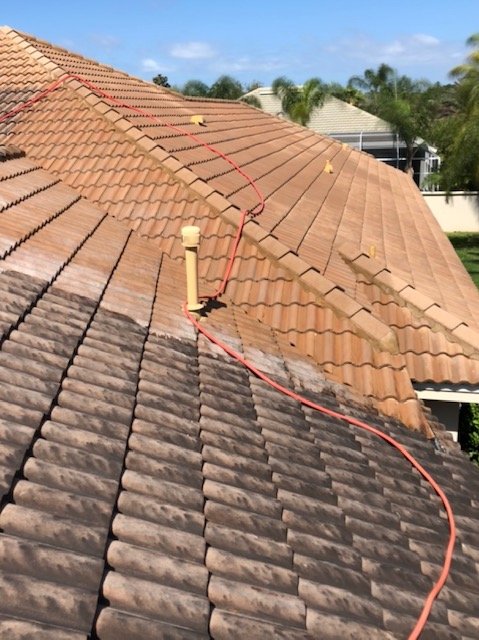 Slide of Apple Roof Cleaning
