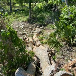 Tree Huggers Tree Service