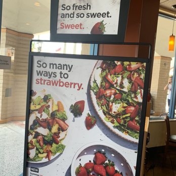 Panera Bread - Strawberry! - Sandwiches Near Me - Boca Raton, Florida Panera Bread - Strawberry! - Sandwiches Near Me - Boca Raton, Florida