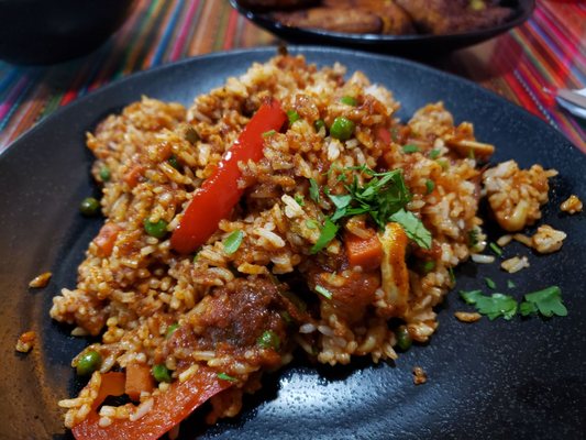 Culantro by null