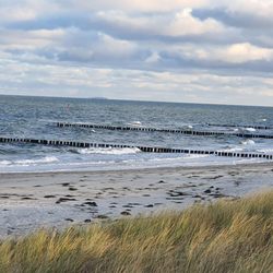 Zingster Strand - Cooler langer Strand