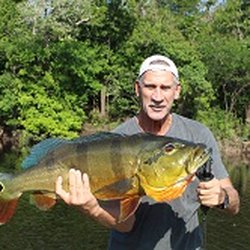 Worldwide Peacock Bass Fishing - Mike Augat, owner of Pesca Panama lodge catching a Colombian grande at Las Lagunas!!!