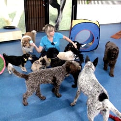 Doghouse Daycare