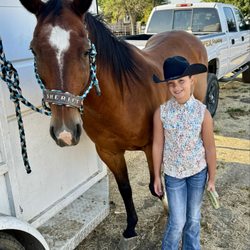 KF Equine