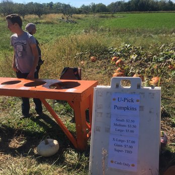 Becker Farms - Get me some pumpkins! - Venues & Event Spaces Near Me - Gasport, New York Becker Farms - Get me some pumpkins! - Venues & Event Spaces Near Me - Gasport, New York