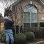 Photo of Roman Lawn and Landscaping